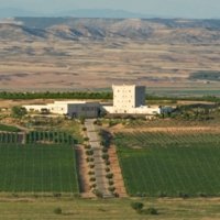 visit Bodega Pago de Cirsus